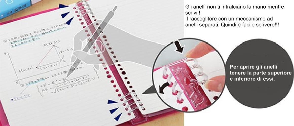 Raccoglitore ad anelli A4 cancelleria giapponese